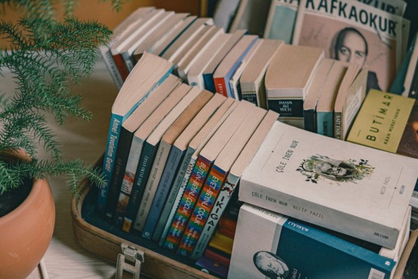 tips membeli novel secara online