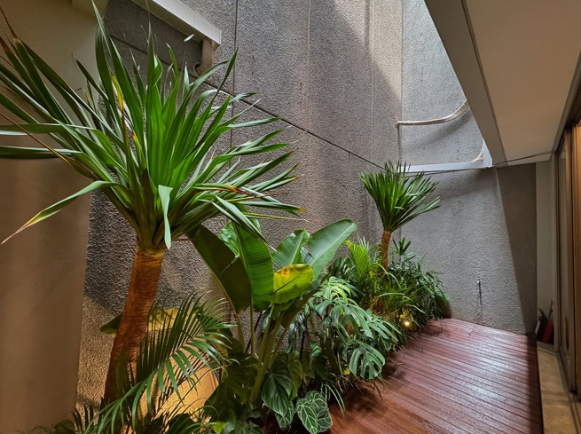 Inspirasi Desain Taman Rumah Modern yang Menawan
