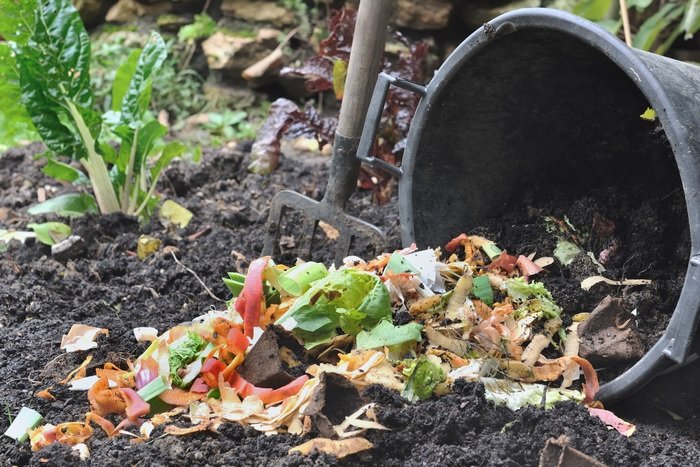 Kesalahan Pembuatan Pupuk Organik dan Solusinya agar Hasil Lebih Maksimal